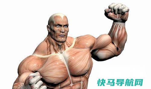 4个动作练出完美胸肌